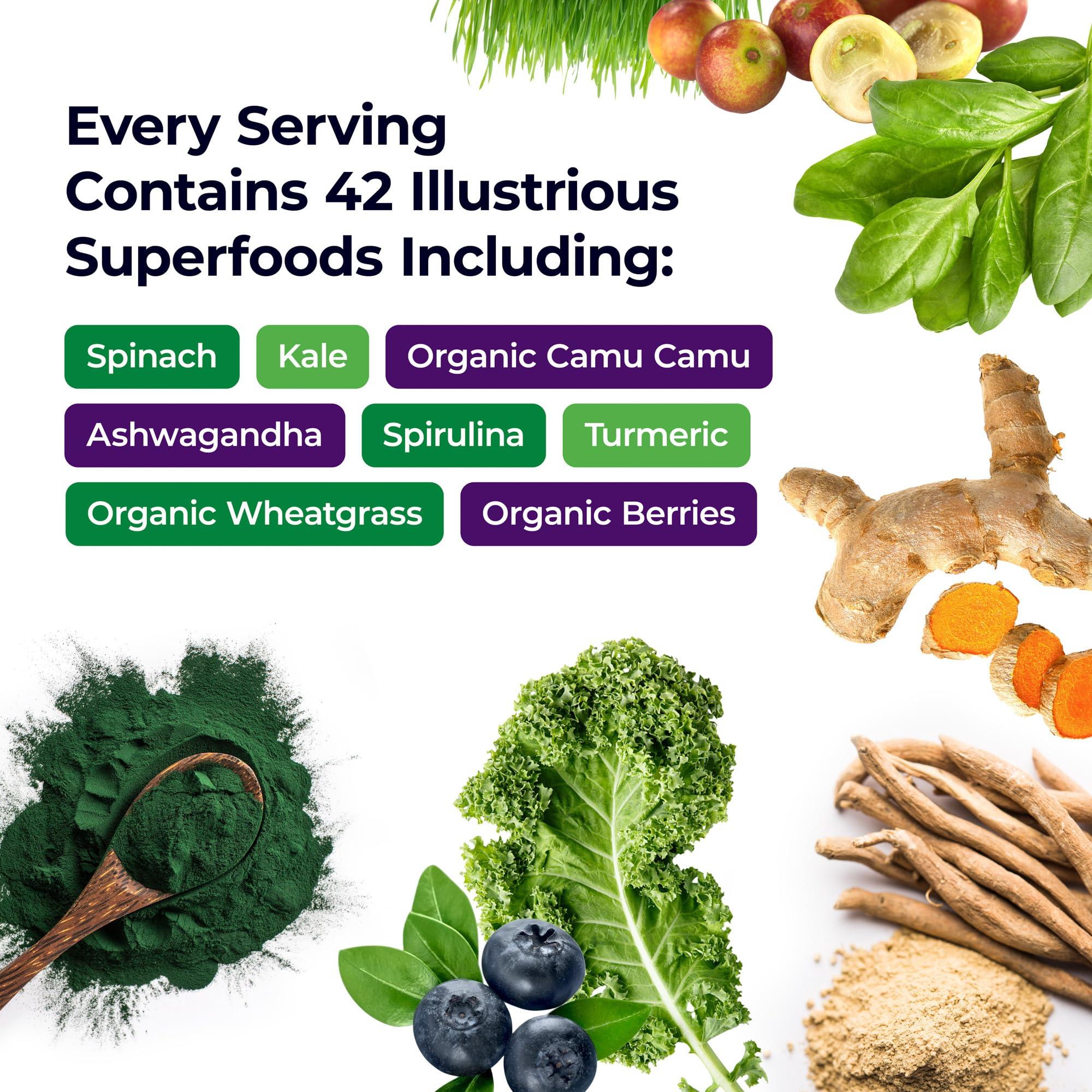 Paradise Herbs Paradise Herbs, ORAC Energy Greens Powder, Antioxidant Power of 24 Servings of Fruits & Vegetables in 1 Scoop, 120 Servings
