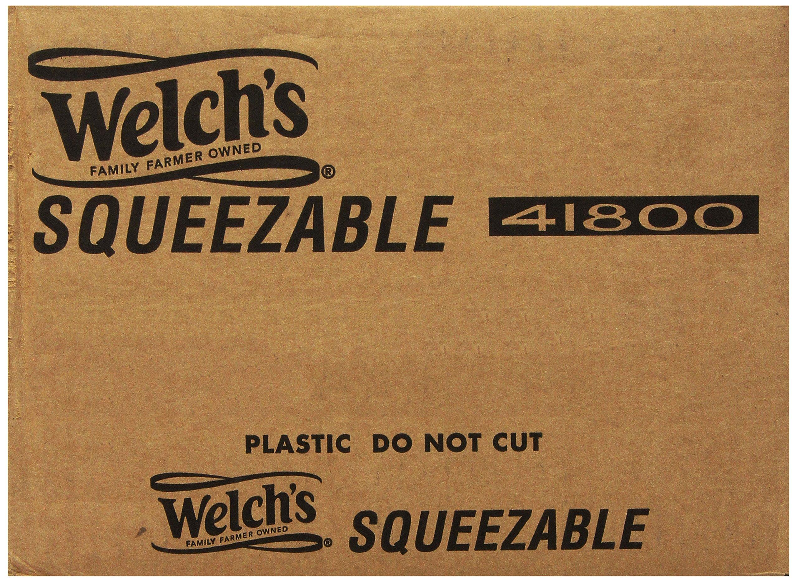 Welch\'s Welch\'s Concord Grape Jelly, No Artificial Flavors or Colors, 20 Ounce Squeeze Bottles (Pack of 12)