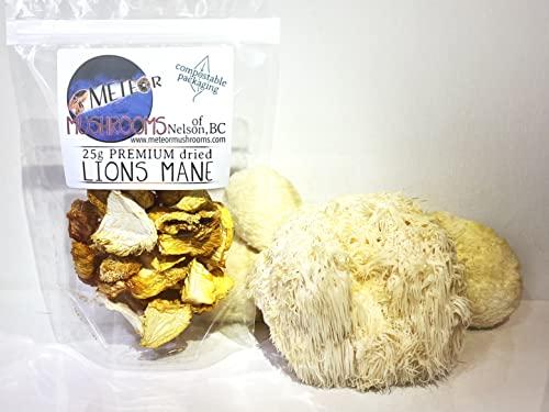 Meteor Mushrooms Lions Mane Mushrooms ~ dried pieces