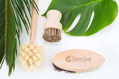 Gaia Guy Zero Waste Kitchen and Bath Set - Wood Handled Brushes with Natural Bristles and Loofah Sponges