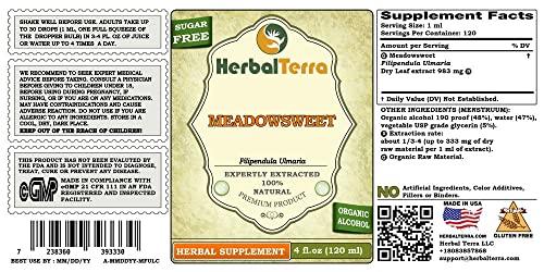 Herbal Terra LLC Meadowsweet (Filipendula Ulmaria) Tincture, Organic Dried Herb Liquid Extract (Brand Name: HerbalTerra, Proudly Made in USA) 4 fl.oz (120 ml)