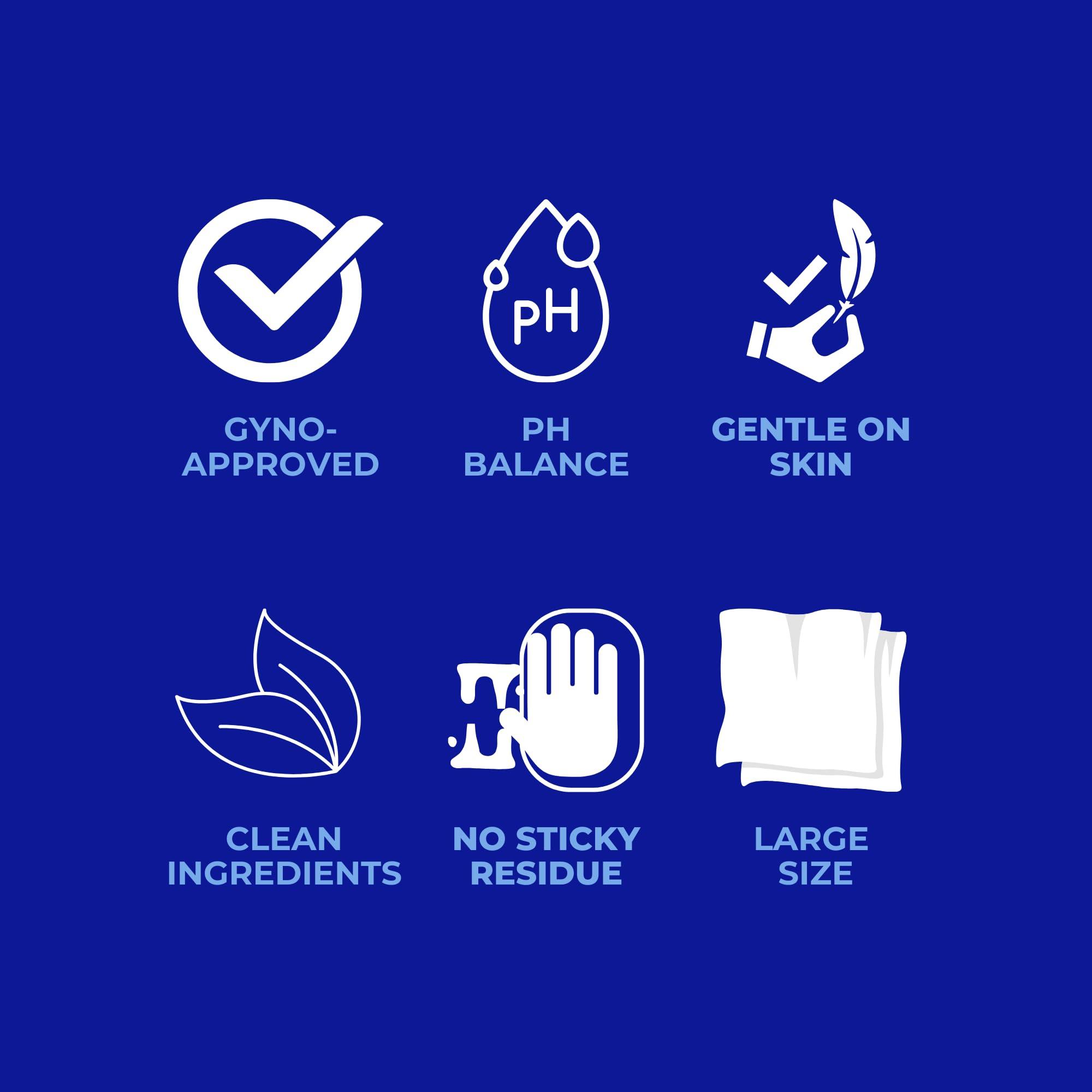 Get Dirty Get Dirty Wipes For Men - Easy, Discreet, Effective Intimate Wipes, Full Body Wipes for Men; Down There Wipes, Pack of 2 (24 Count)