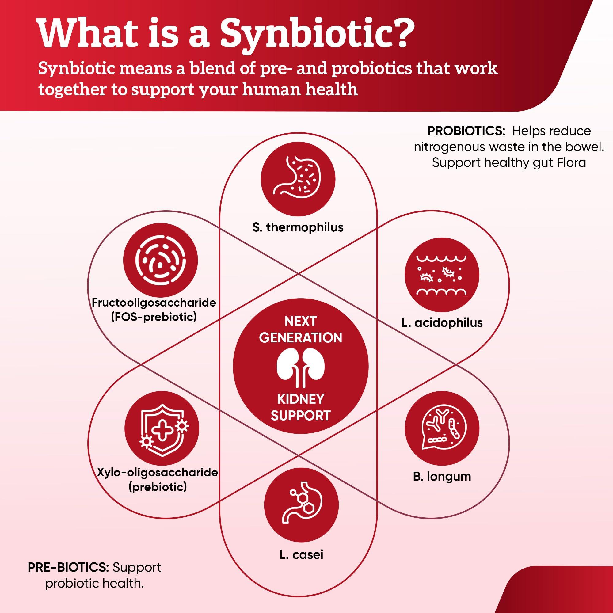 RENAMAX RENAMAX Capsule Kidney Restores & Kidney Care Supplement - Probiotic & Prebiotic Supplement to Support Normal Kidney Function - 50 Billion CFU per Capsule - Made in U.S.A (90 Caps (Pack of 1))