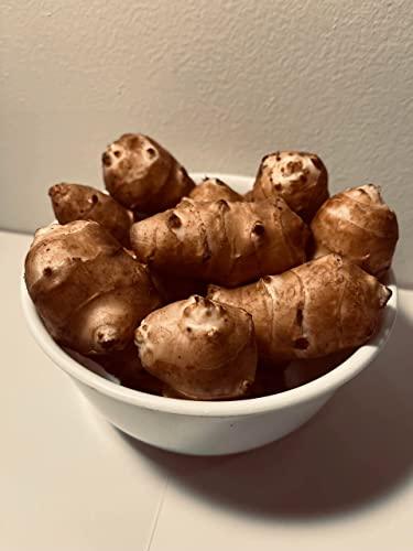 Adama Foods Sunchokes - 5 pounds (5 lbs) for Planting or Eating FEDEX 2Day