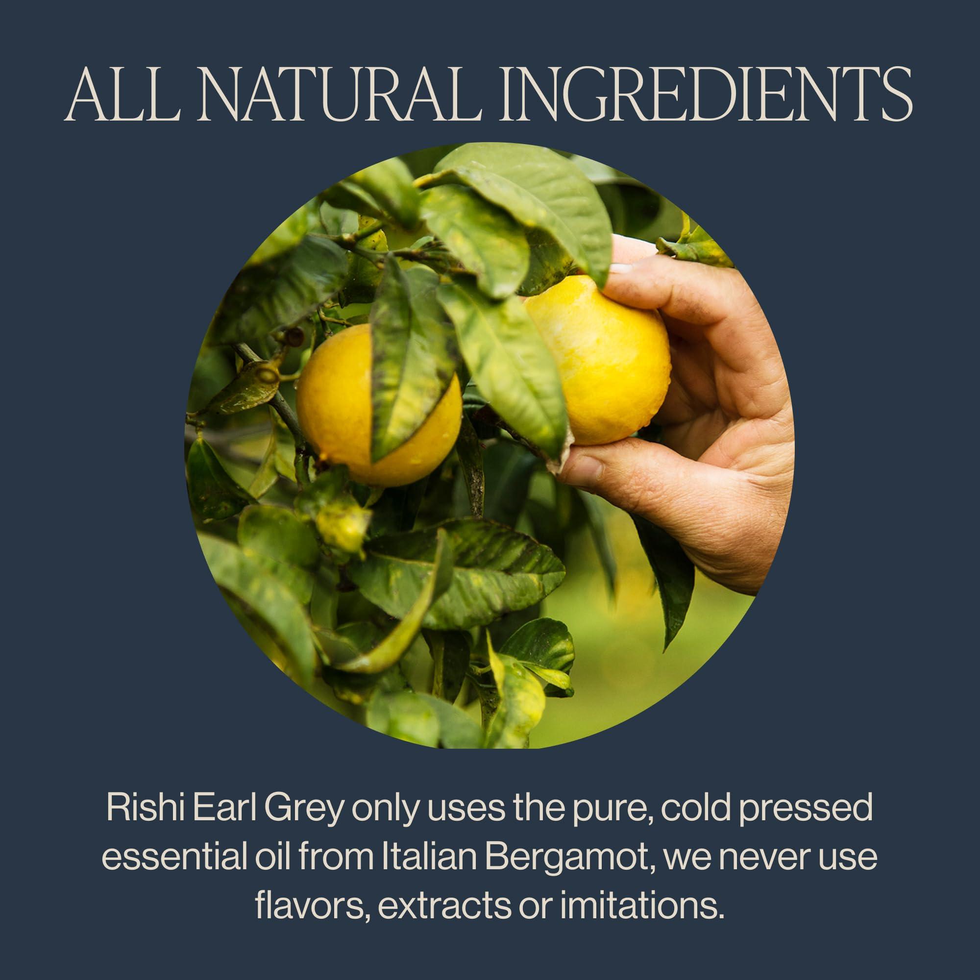 Rishi Tea Rishi Tea Earl Grey Tea - Organic Sachet Tea Bags, Pure Black Tea with Bergamot Oil, Energizing & Caffeinated - 15 Count (Pack of 1)