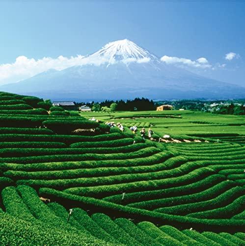 Palais des Thés Palais des Thés - Blue of London - Premium Gluten-Free Earl Grey Black Tea with Bergamot - 3.5oz Loose Leaf Metal Gift Tin