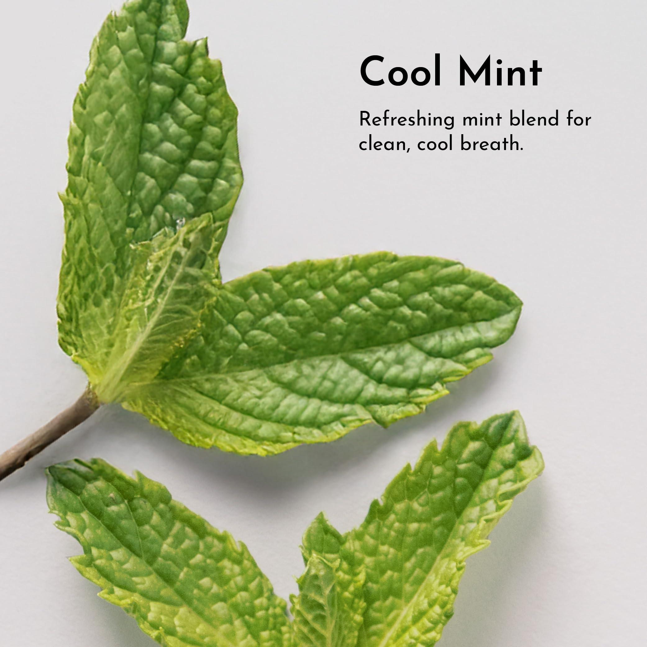 Living Well with Dr. Michelle Living Well with Dr. Michelle Remineralizing Tooth Powder | Fluoride-Free Formula with Hydroxyapatite | Cavity Prevention & Remineralization | Safe & Clean Ingredients | Cool Mint Flavor