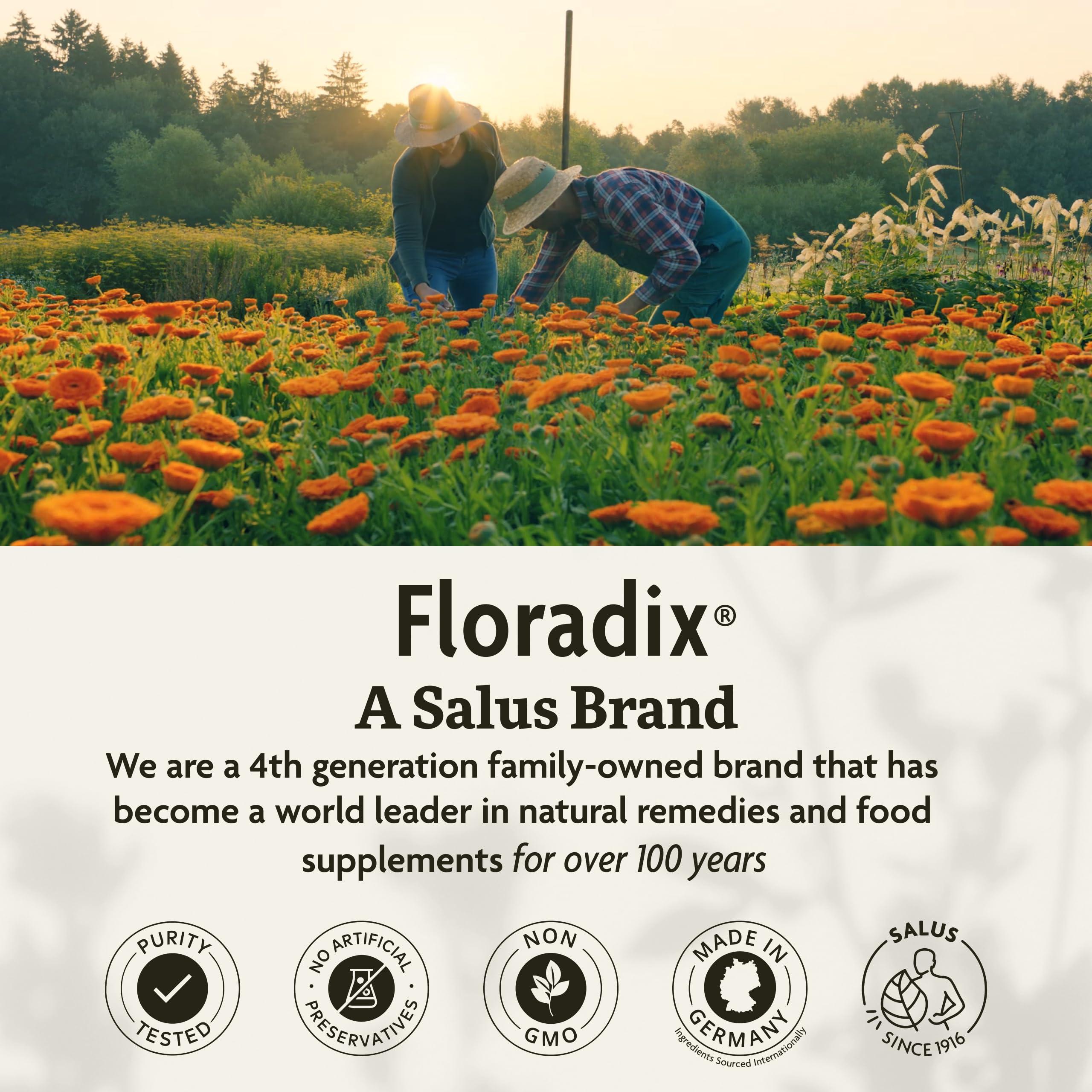 Floradix Floradix Iron Sport Liquid Mineral & Vitamin Formula - Daily Vitamin for Nutritional & Energy Support - Sports Nutrition with Gentle Iron, B Vitamins & More - Vegan & Non-GMO - 8.5 fl oz