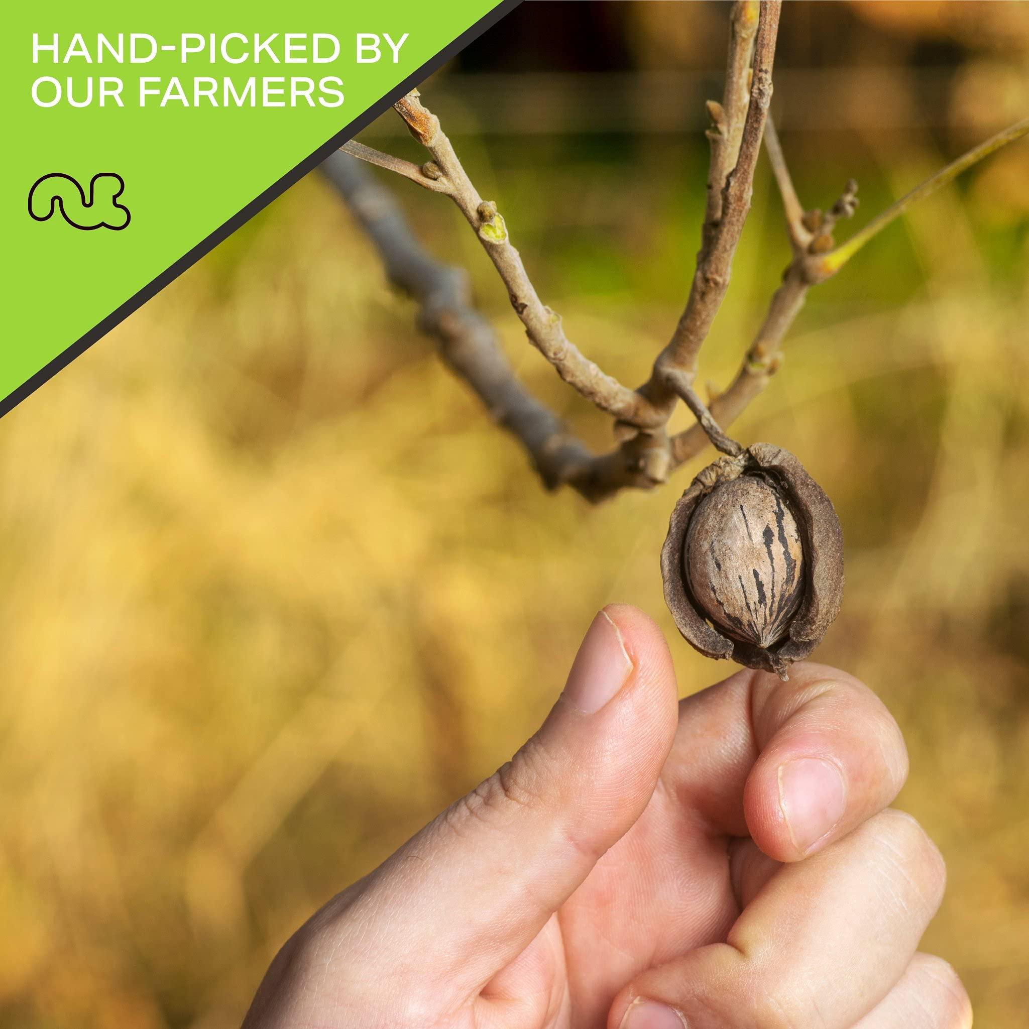 Nut Cravings NUT CRAVINGS - Pecans Halves, Roasted & Salted, No Shell (80oz - 5 LB) Bulk Nuts Packed Fresh in Resealable Bag - Healthy Protein Food Snack, All Natural, Keto Friendly, Vegan, Kosher