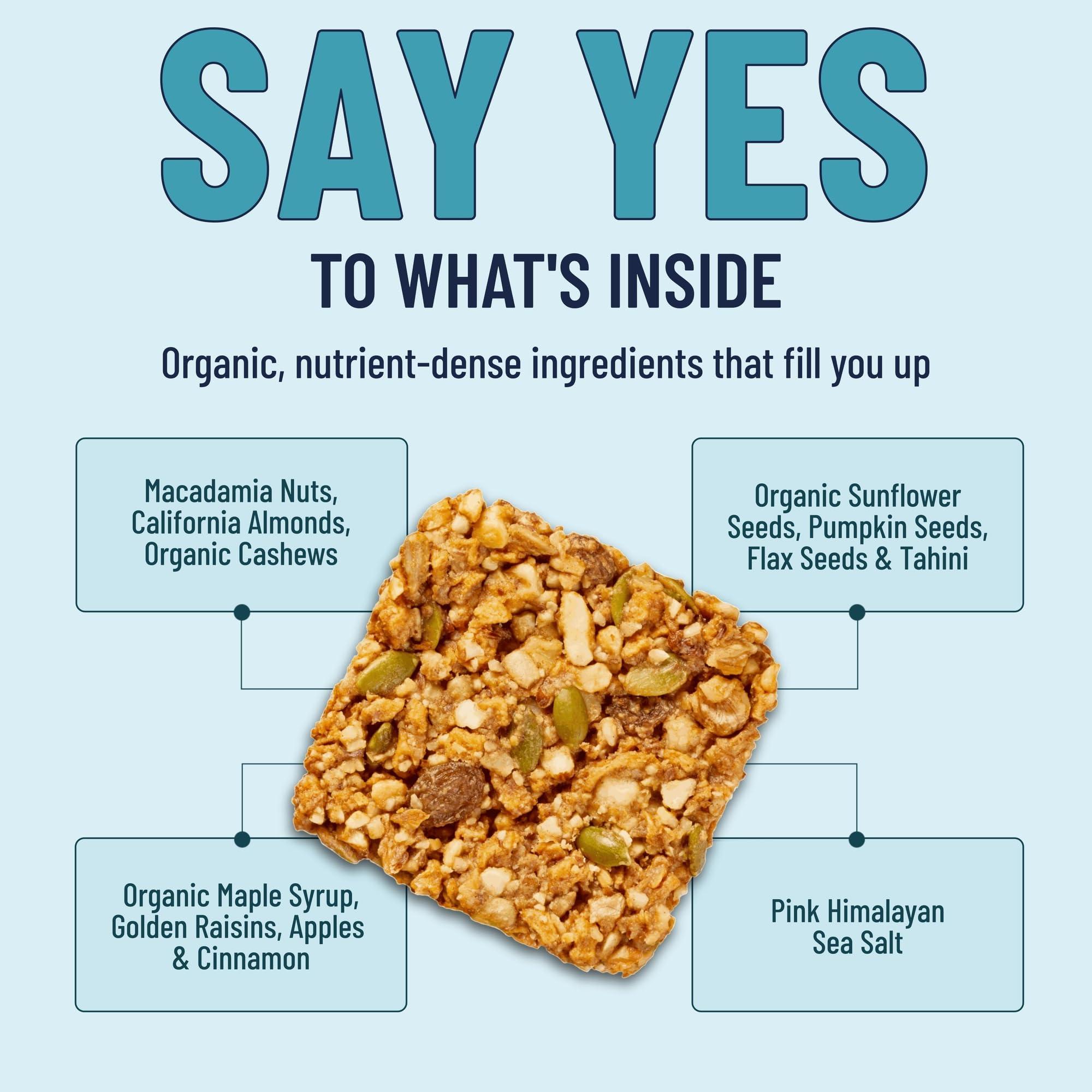 The YES Bar The YES Bar Apple Cinnamon Crisp – Plant Based Protein, Decadent Snack Bar – Vegan, Paleo, Gluten Free, Dairy Free, Low Sugar, Healthy Snack, Breakfast, Low Carb, Keto Friendly (Pack of 6)