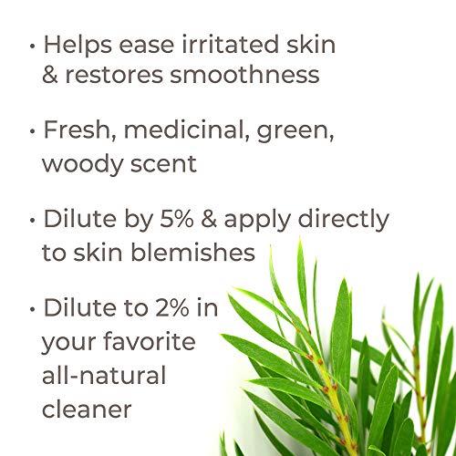 Plant Therapy Plant Therapy Tea Tree Essential Oil 100% Pure, Pre-Diluted Roll-On, Natural Aromatherapy, Therapeutic Grade 10 mL (1/3 oz)