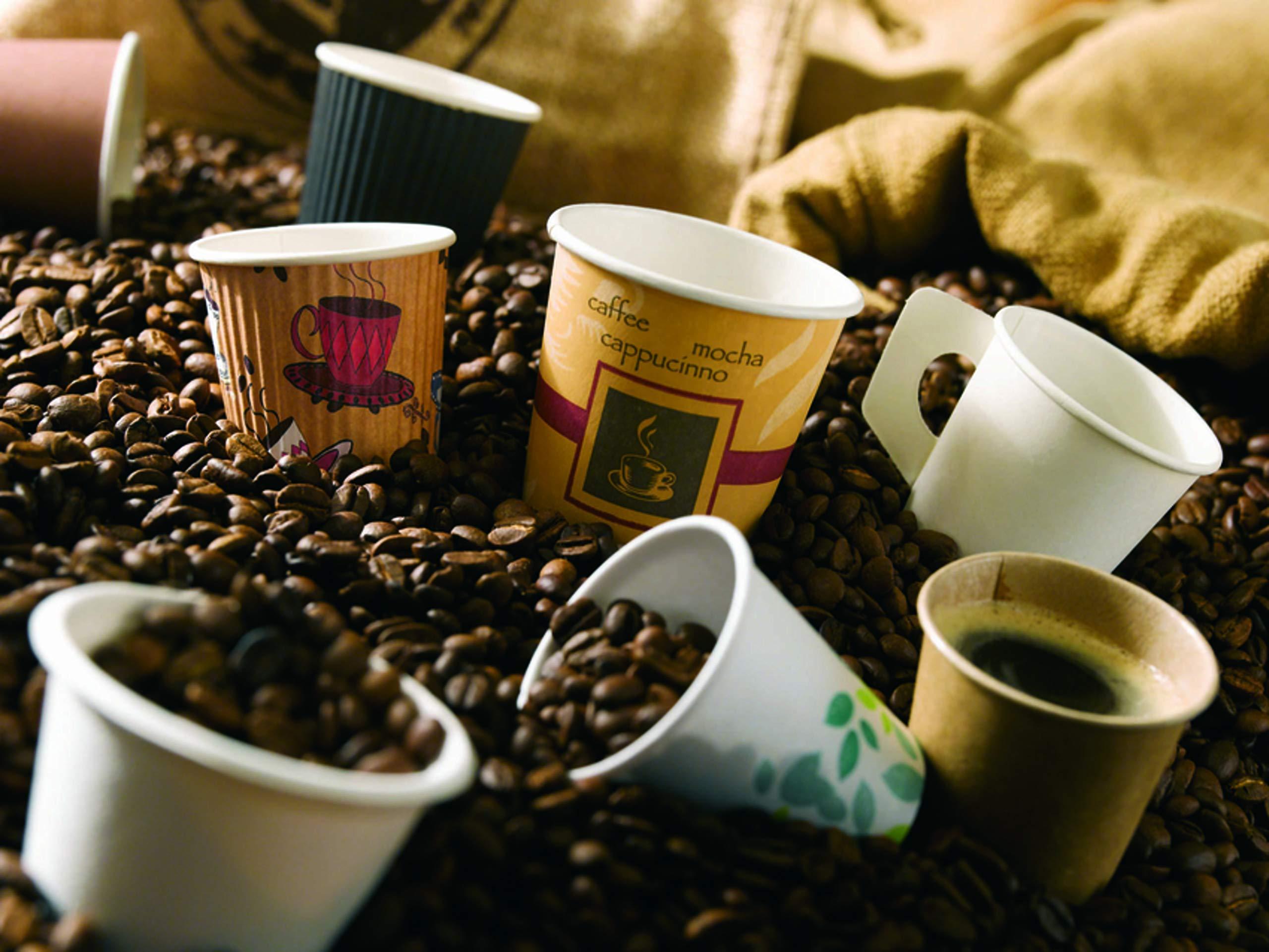 Nelson's Tea Nelson's Tea - Classic Chinese Chun Me - Loose Leaf Green Tea - 16 oz.