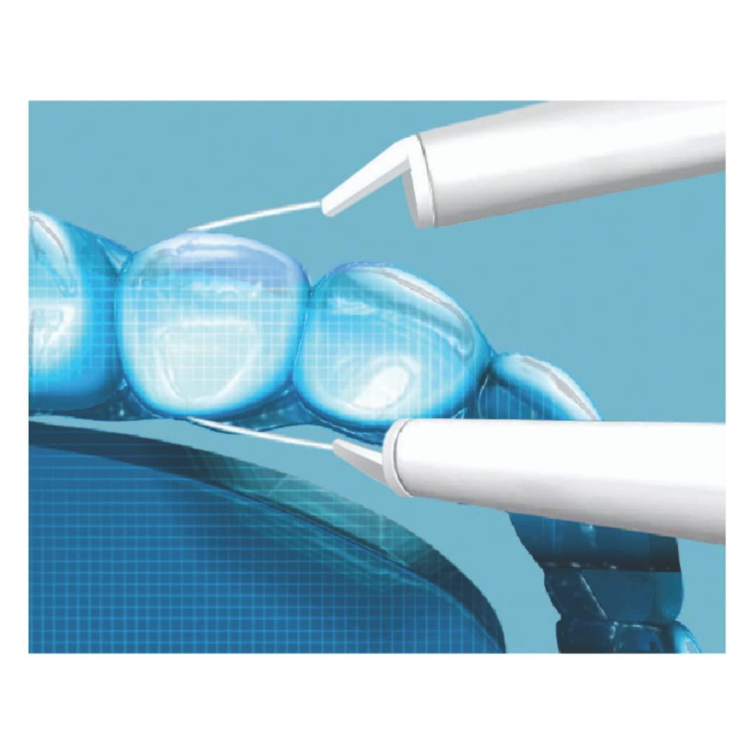 Gumchucks GumChucks Orthodontic Flossers Dental Floss - Floss for Braces - Brace Floss Picks - Gum Flossing Picks - Ortho Dental Flossers (Adult Starter Pack)