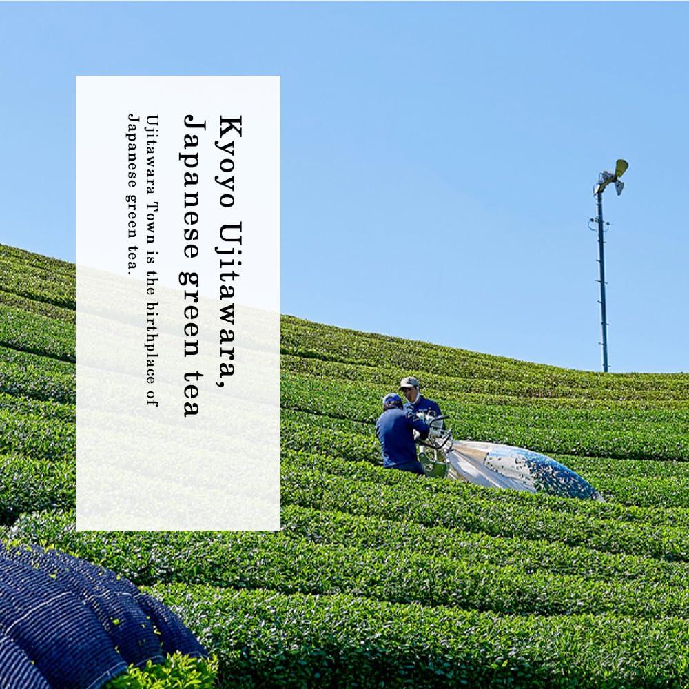 TOMOSAN TOMOSAN Hojicha Tea - Japanese Organic Loose Leaf Premium Green Tea - Roasted Kukicha & Sencha Blend, Low Caffeine, USDA Certified, Uji-Kyoto, 100g/3.5oz