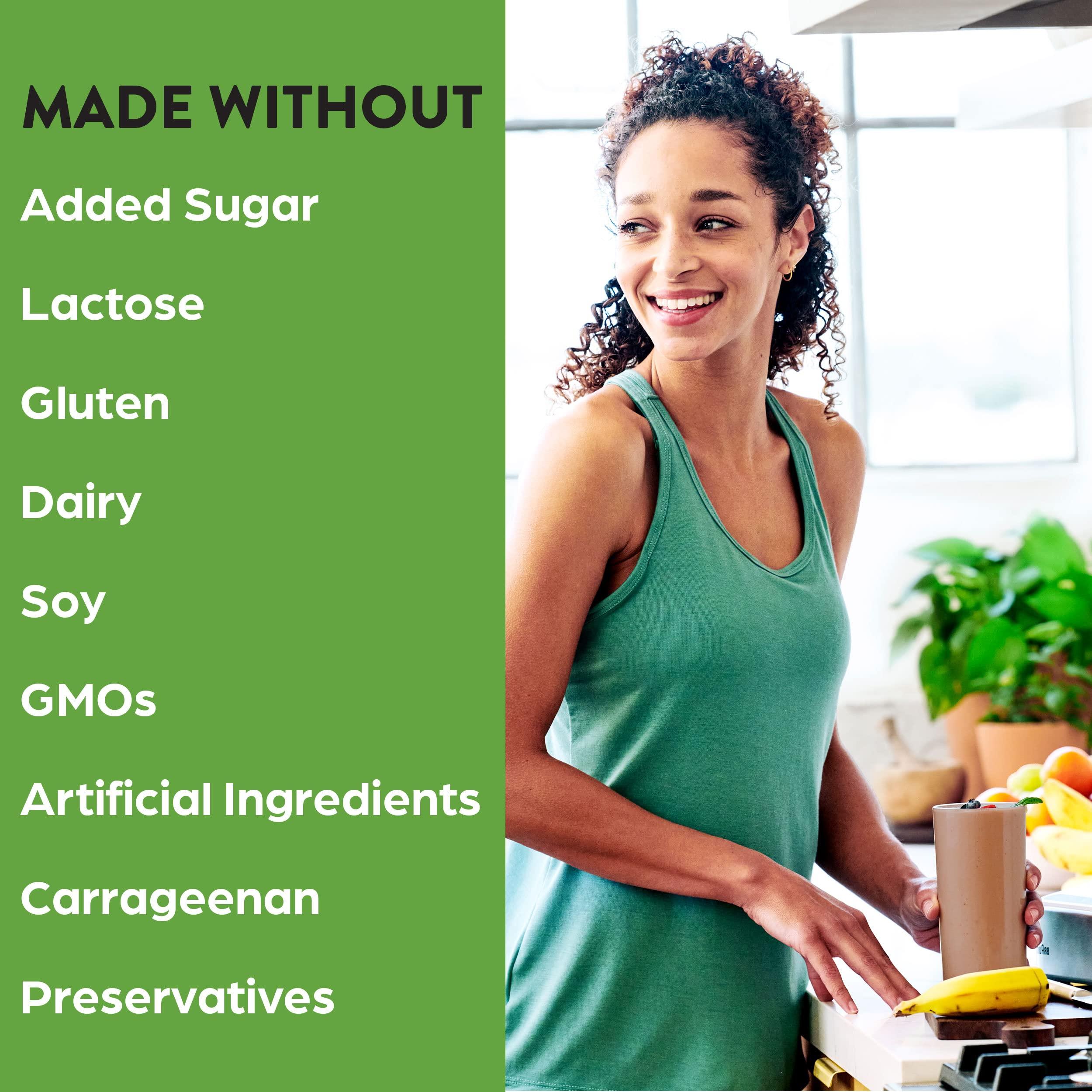 Orgain Orgain Organic Vegan Protein Powder, Creamy Chocolate Fudge - 21g Plant Protein, 6g Prebiotic Fiber, Low Carb, No Lactose Ingredients, No Added Sugar, Non-GMO, For Shakes & Smoothies, 10 Travel Packs