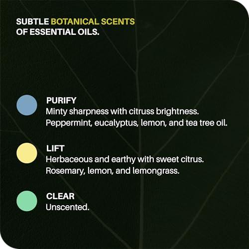 Everneat Everneat Oven Scrub (16oz): Natural Oven Cleaner and Kitchen Cleaner | Heavy Duty Oven Cleaner & Oven Rack Cleaner Kit | Fume-free & Safe to Clean All Ovens (Unscented)