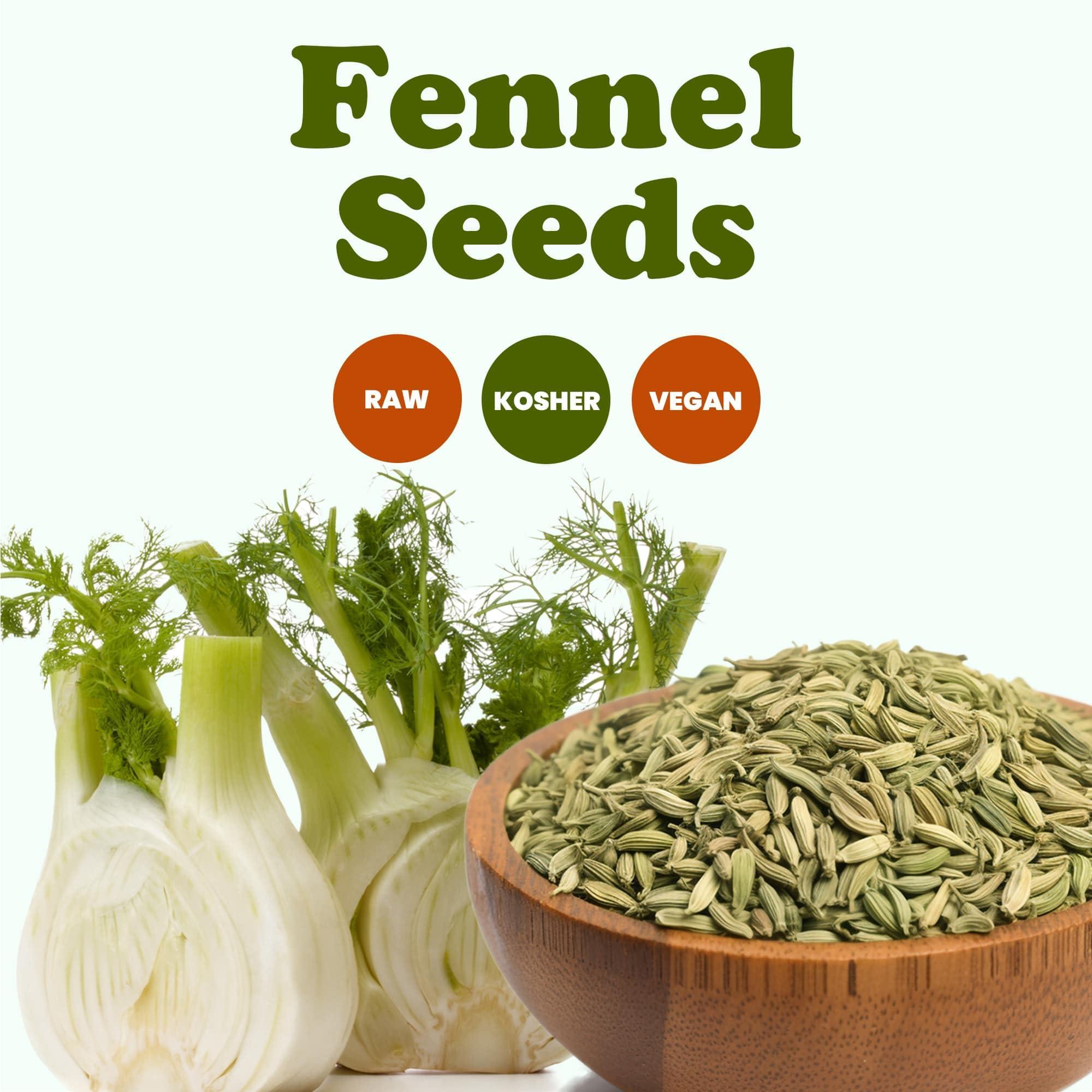Food to Live Food to Live Fennel Seeds, 1 Pound Whole Raw Seeds, Non-Irradiated, Kosher, Vegan, Bulk. Sweet Licorice Flavor. High in Dietary Fiber. Great for Fennel Tea