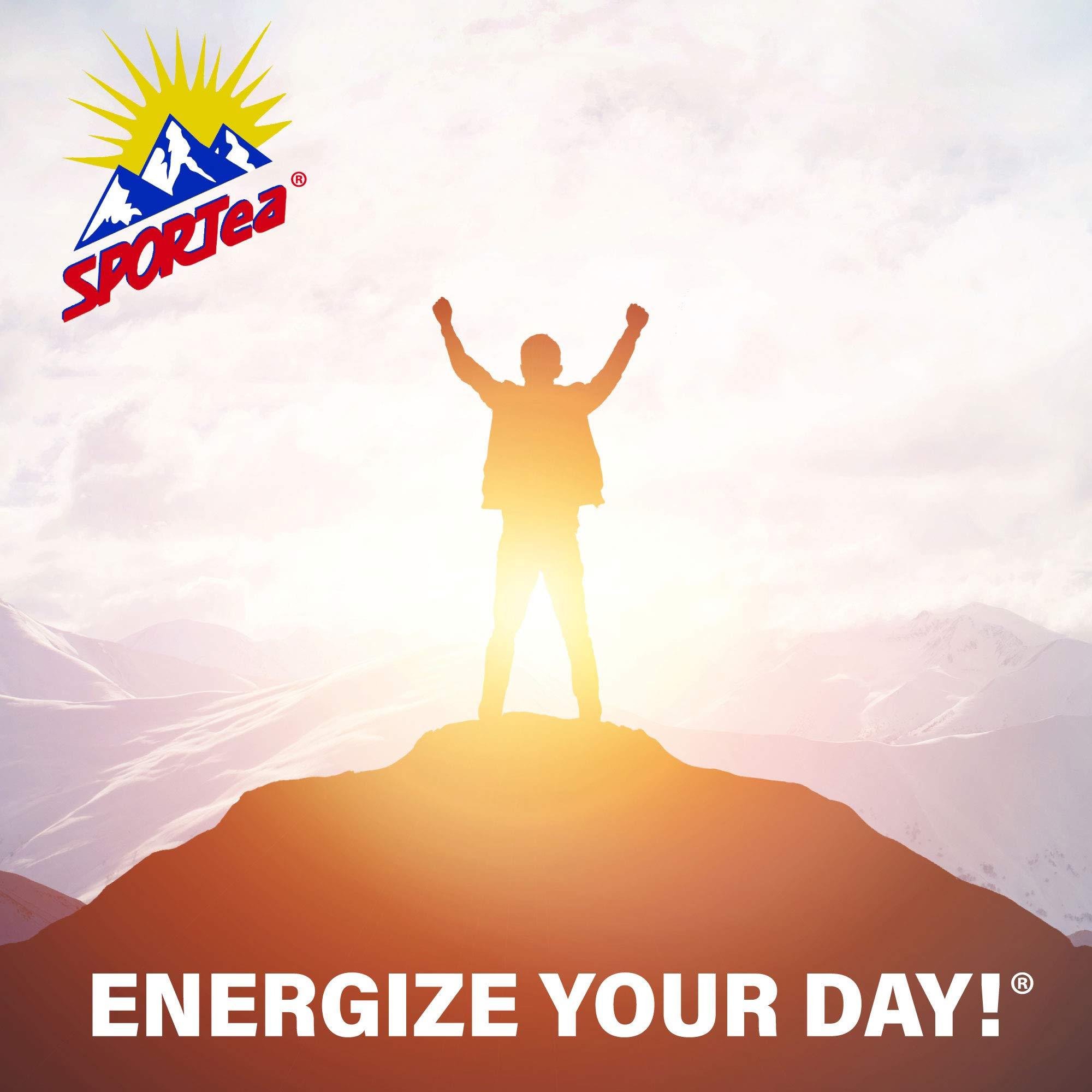 SPORTEA SPORTea Iced | Decaf Energy Drink with Green & Black Tea, Vitamins, Minerals, Electrolytes, Yerba Mate, Siberian Ginseng | 7 Cold Brew Tea Bags | Healthy, Easy | 2 Pack