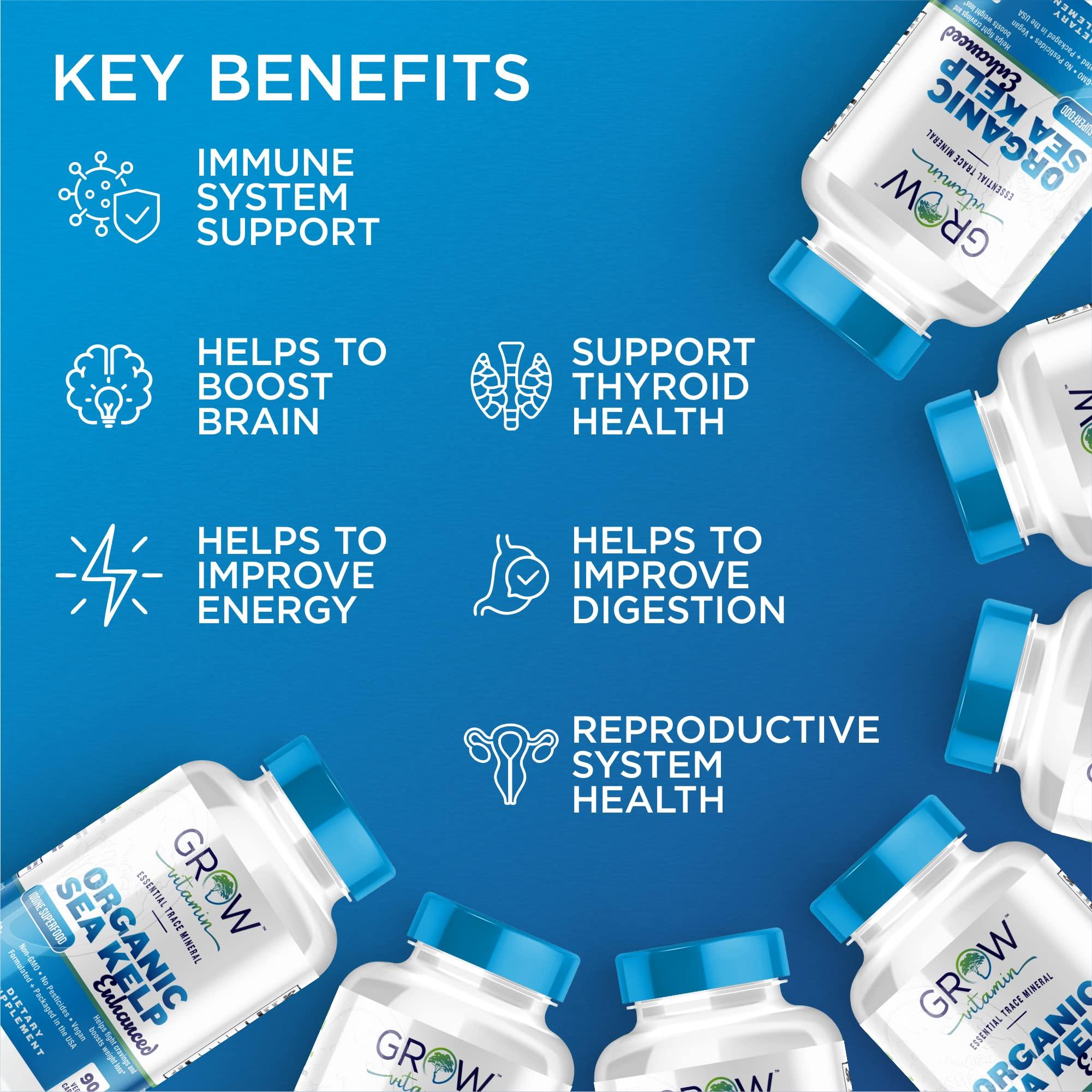grow vitamin Organic Sea Kelp (Icelandic) Enhanced - Pure Healthy Thyroid Support Natural Iodine Supplement w/Organic Sea Kelp, Blue-Green Algae & Red Algae - Immune System & Metabolism Support - 90 Capsules