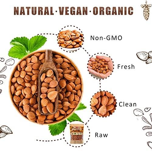 Mighty Apricot Mighty Apricot USDA Organic Bitter Apricot Kernels(1LB) 16oz, Natural Raw Bitter Apricot Seeds, Vegan, Non-GMO, Gluten Free, Great source of Vitamin B17 and B15