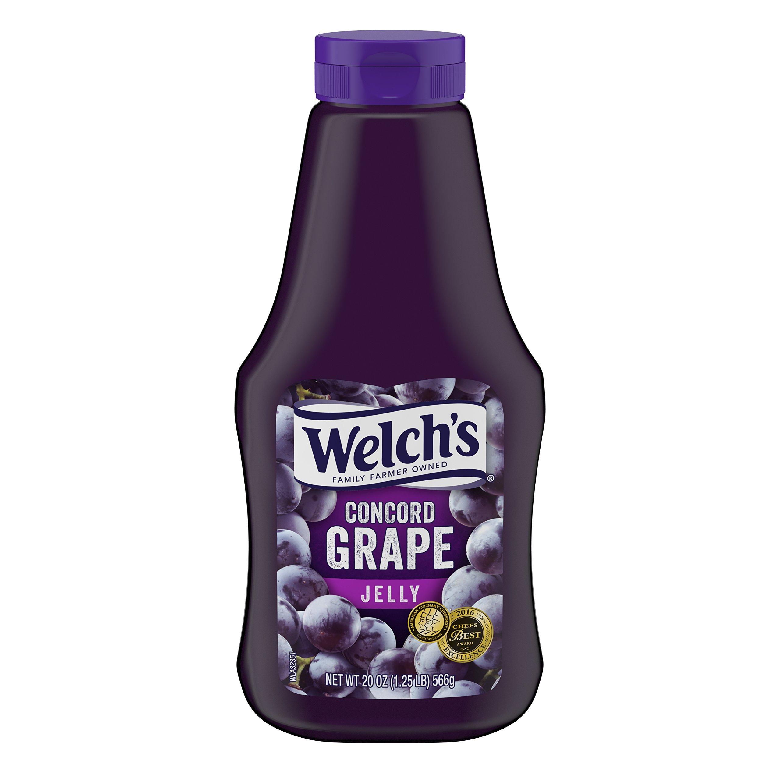 Welch\'s Welch\'s Concord Grape Jelly, No Artificial Flavors or Colors, 20 Ounce Squeeze Bottles (Pack of 12)