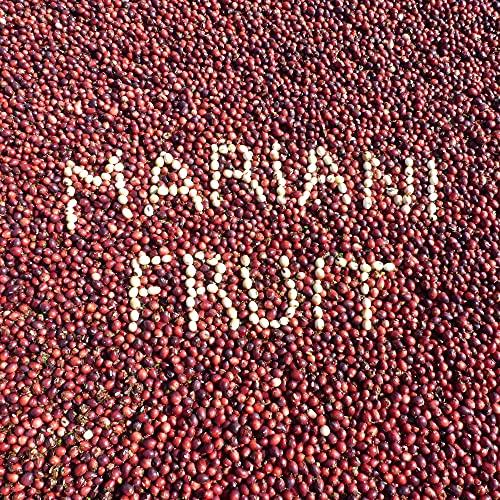 Mariani Premium Mariani Dried Cranberries - Gluten Free, Vegan, No Preservatives - Healthy Snacks for Kids & Adults, 5oz Bag (Pack of 4)