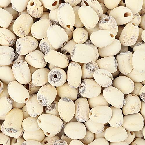 PALPLUS Organic Natural Pure Lotus Seed Dried Bulk Herbs (10.58 Ounce (300gram))