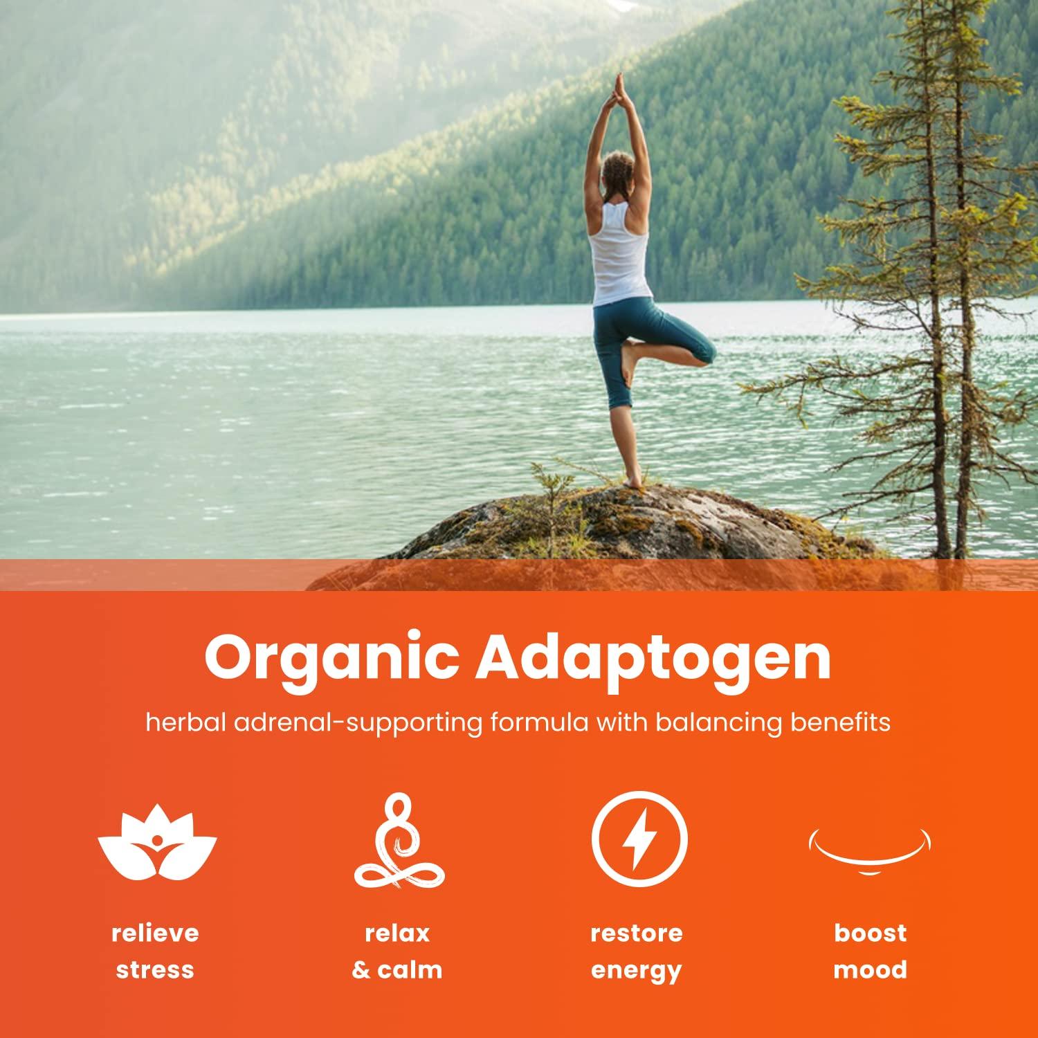 NutraChamps NutraChamps Maca and Ashwagandha Bundle