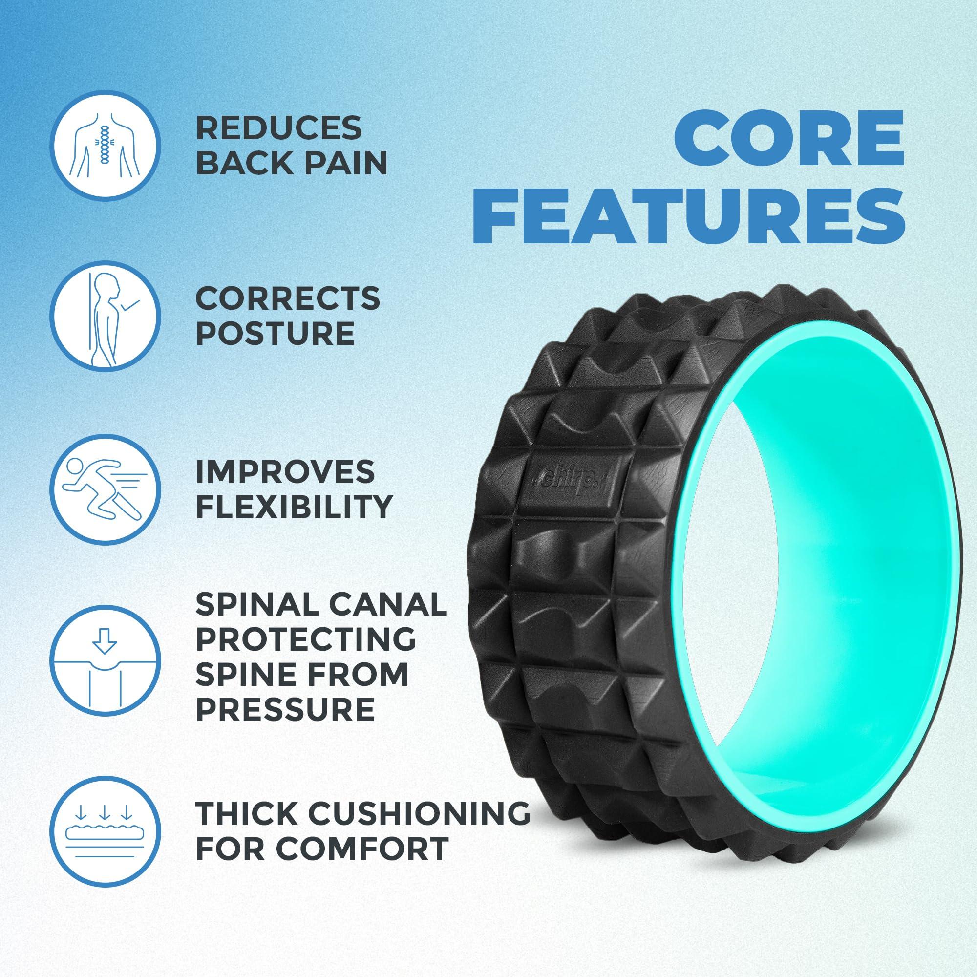Chirp Chirp Wheel XR Ultimate Relief Bundle - Acupressure for Back and Neck, Stress Melting Spine Comfort, Targeted Trigger Point Release - Mint, 10\" & 4\"
