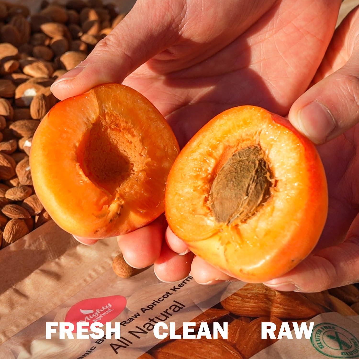 Mighty Apricot Mighty Apricot USDA Organic Bitter Apricot Kernels(1LB) 16oz, Natural Raw Bitter Apricot Seeds, Vegan, Non-GMO, Gluten Free, Great source of Vitamin B17 and B15