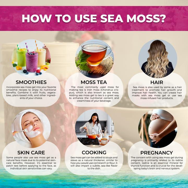 WELLNESS LABSRX Irish Sea Moss Gel Organic Raw - Wildcrafted Superfood Seamoss Gel - Mix Berry Flavor, Vitamin and Mineral-Rich from Pristine Caribbean Waters, Immune and Digestive Health Support - 10 oz.