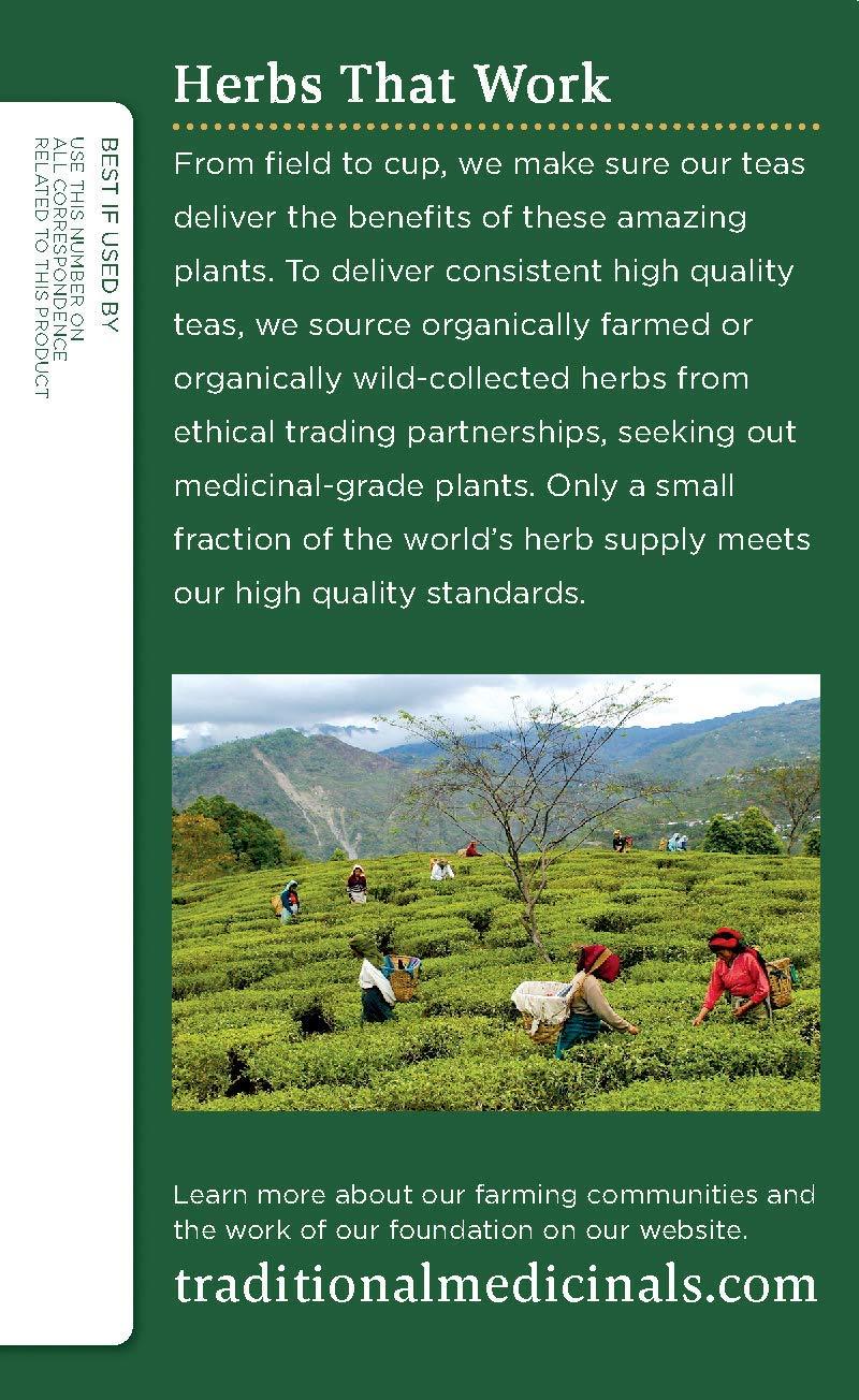 Traditional Medicinals Traditional Medicinals Tea Ginger Chamomile