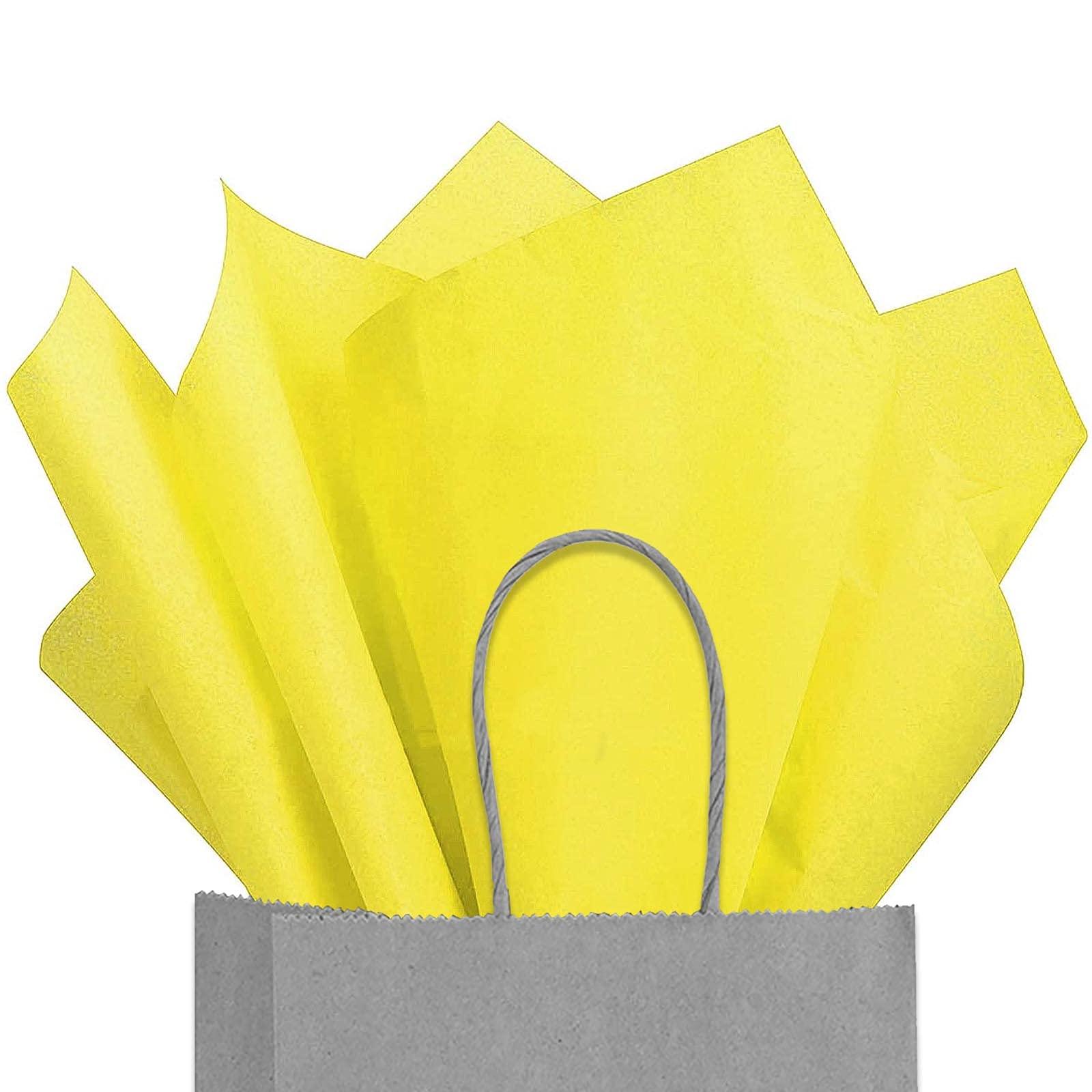 Haian Haian High-Waisted Adult Incontinence Pull-on Plastic Waterproof Pants 3 Pack (Large)