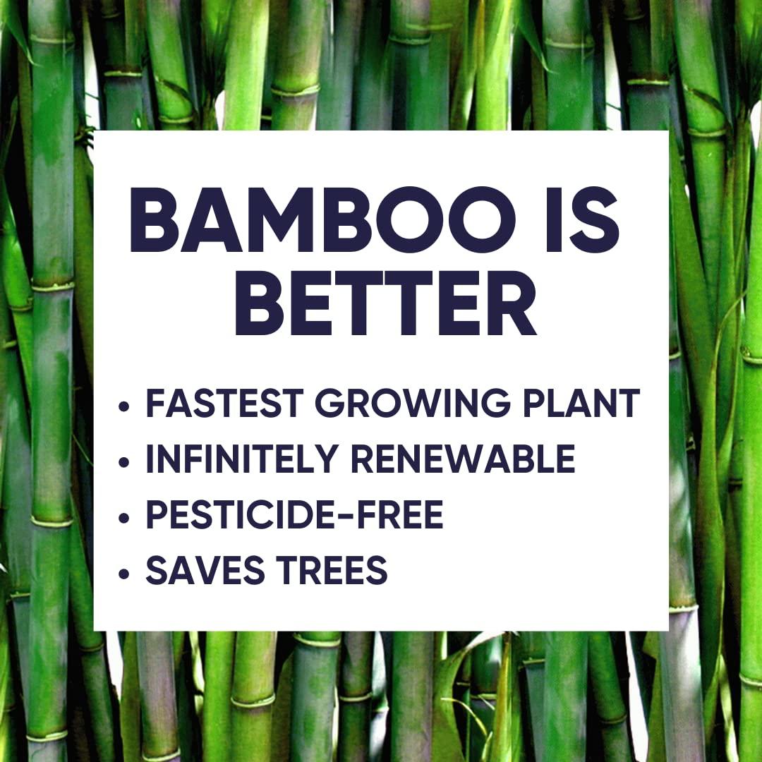 Cloud Paper Save Trees Bamboo Facial Tissues - 12 Boxes of Eco-Friendly, 3-Ply Hypoallergenic Tissues, 90 Sheets per Box, FSC Certified, Plastic-Free Packaging, Soft & Gentle for Home Use