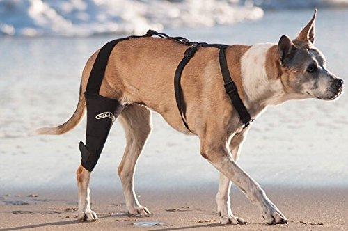 Walkabout WALKABOUT Canine Knee Brace 3.0 mm Neoprene Support Sleeve (Large 14-15\" Left Leg Circumference 1\" Above Knee)