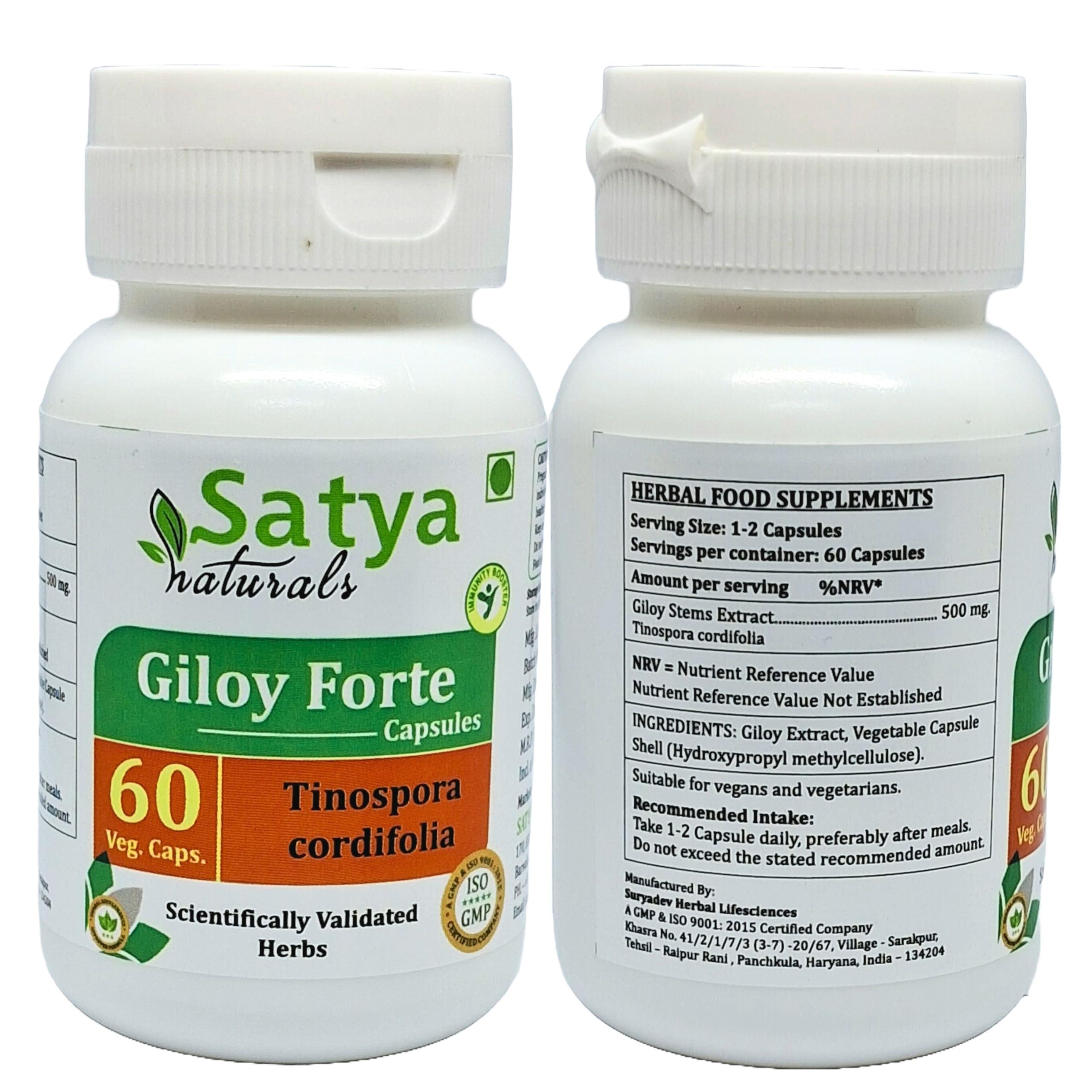 Satya Naturals Giloy Forte Capsules 500 mg. 60 Veg. Capsule | Guduchi (Tinospora Cordifolia) Extract Capsules for Men and women | Indian Ayurvedic Herbal Supplement/Remedies (2 Bottles of 60 Capsules)