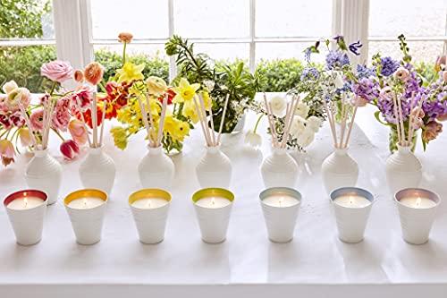 Sophie Conran Sophie Conran Strength Reed Diffuser,