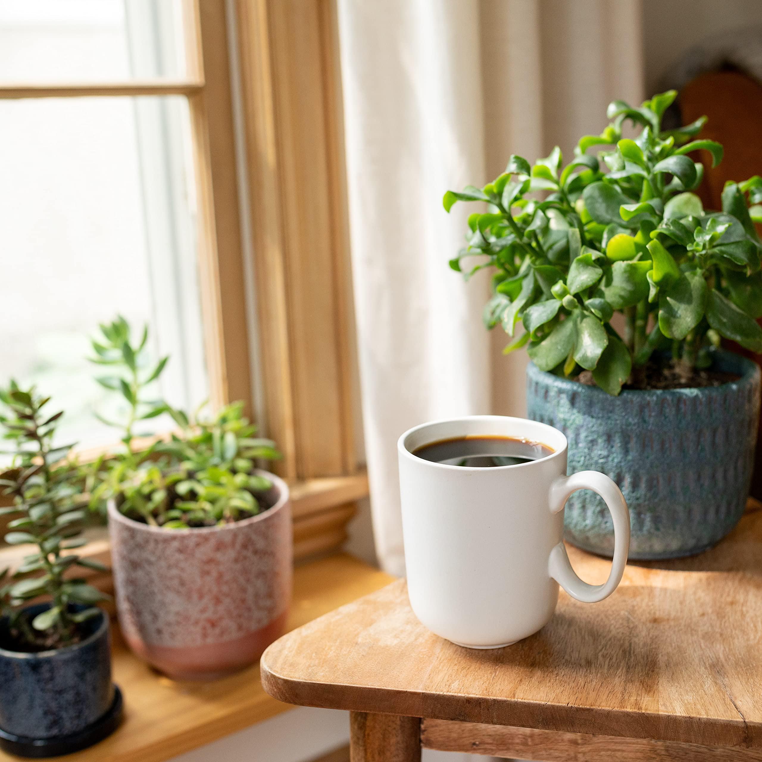 Cameron\'s Coffee Cameron\'s Coffee Vanilla Hazelnut Roasted Ground Coffee, Light Roast, 4-Pound Bag, (Pack of 1)