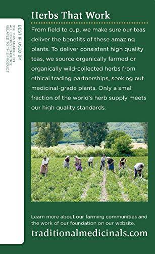 Traditional Medicinals Traditional Medicinals Organic Spearmint Herbal Tea, Healthy & Refreshing, (Pack of 1) - 16 Tea Bags