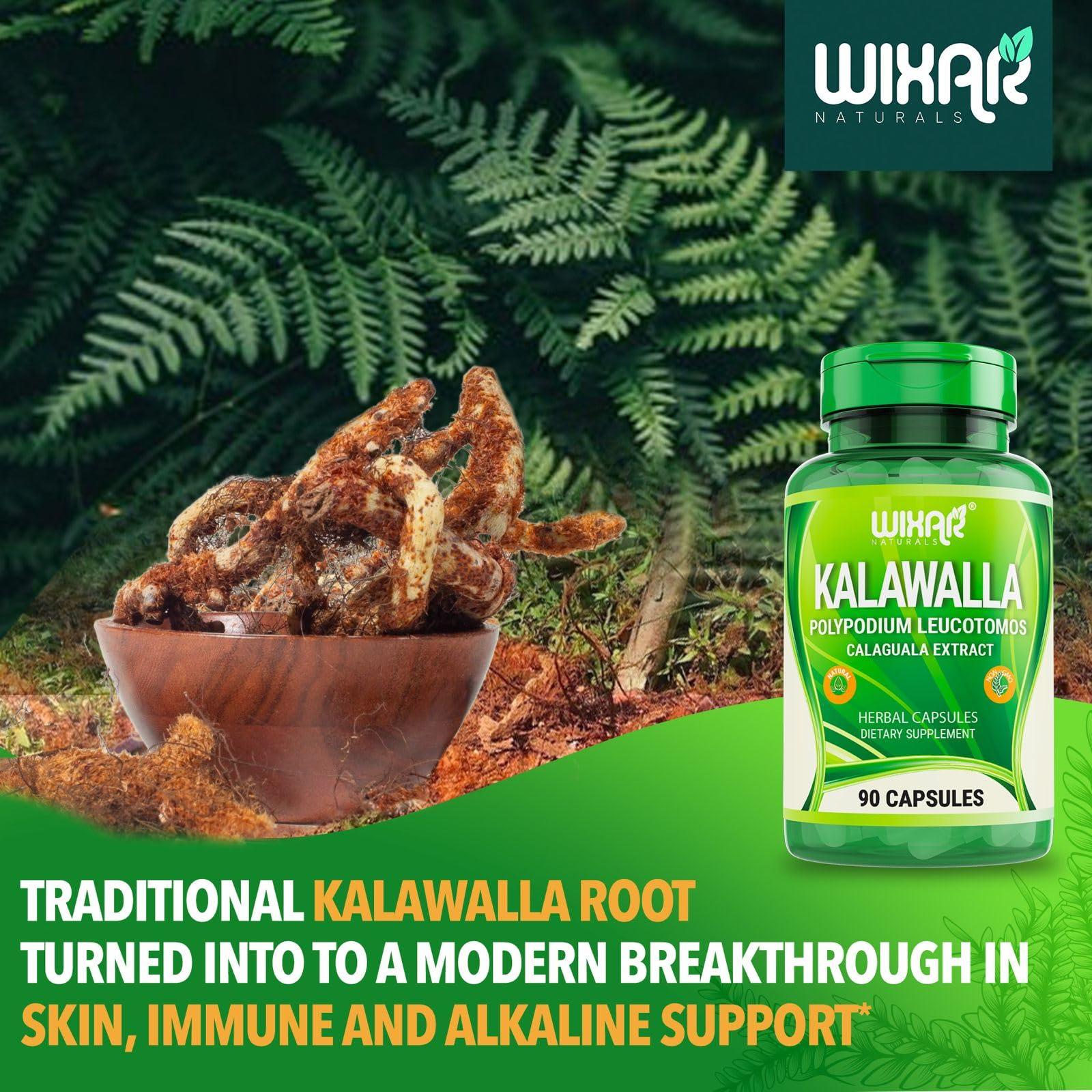WIXAR NATURALS Wixar Kalawalla Capsules Kalawalla Root & Fern Leaves Calaguala Extract Herb with Polypodium Leucotomos Pills - Vegetarian Immune, Skin, Alkaline Support Supplements for Men & Women 90 Capsules