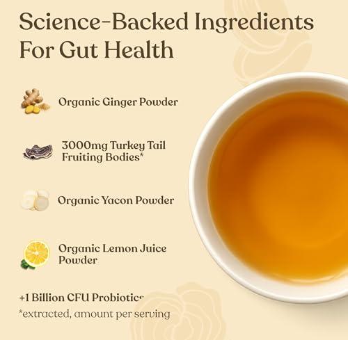 Four Sigmatic Four Sigmatic Happy Gut Organic Herbal Tea | Organic Lemon Ginger with Probiotics & Turkey Tail Mushroom | Instant Digestive Tea | Vegan, Gluten-Free | Lemon Ginger, 24 Servings