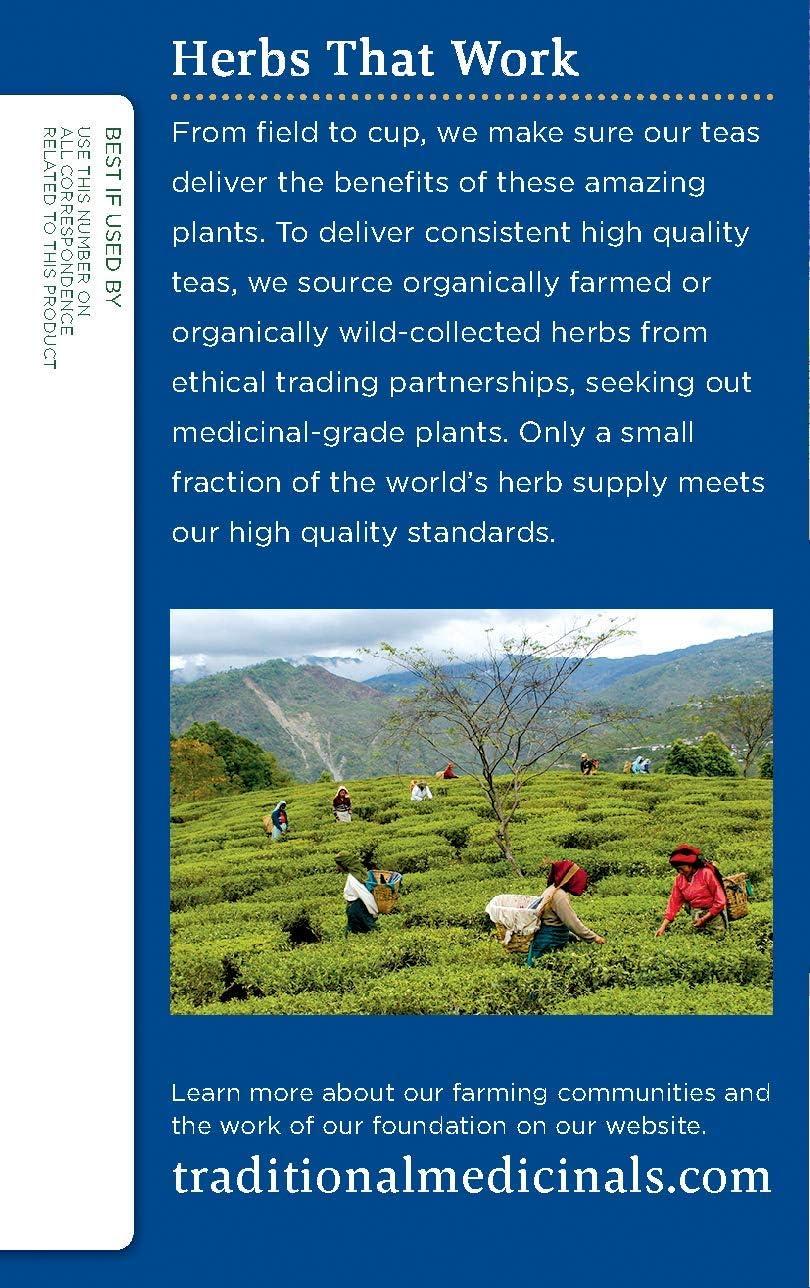 Traditional Medicinals Traditional Medicinals Organic Fair Trade Certified Nighty Night Herbal Tea 16 Count (Pack of 6)