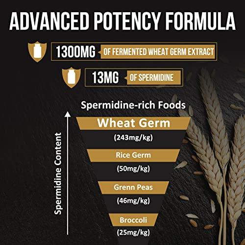 Thalacy Spermidine Supplements 13mg - 1300mg Wheat Germ Extract Capsules Potent Formula with Higher Spermidine Content and Zinc for Healthy Aging, Daily Immune System and Cell Renewal, 120 Capsules