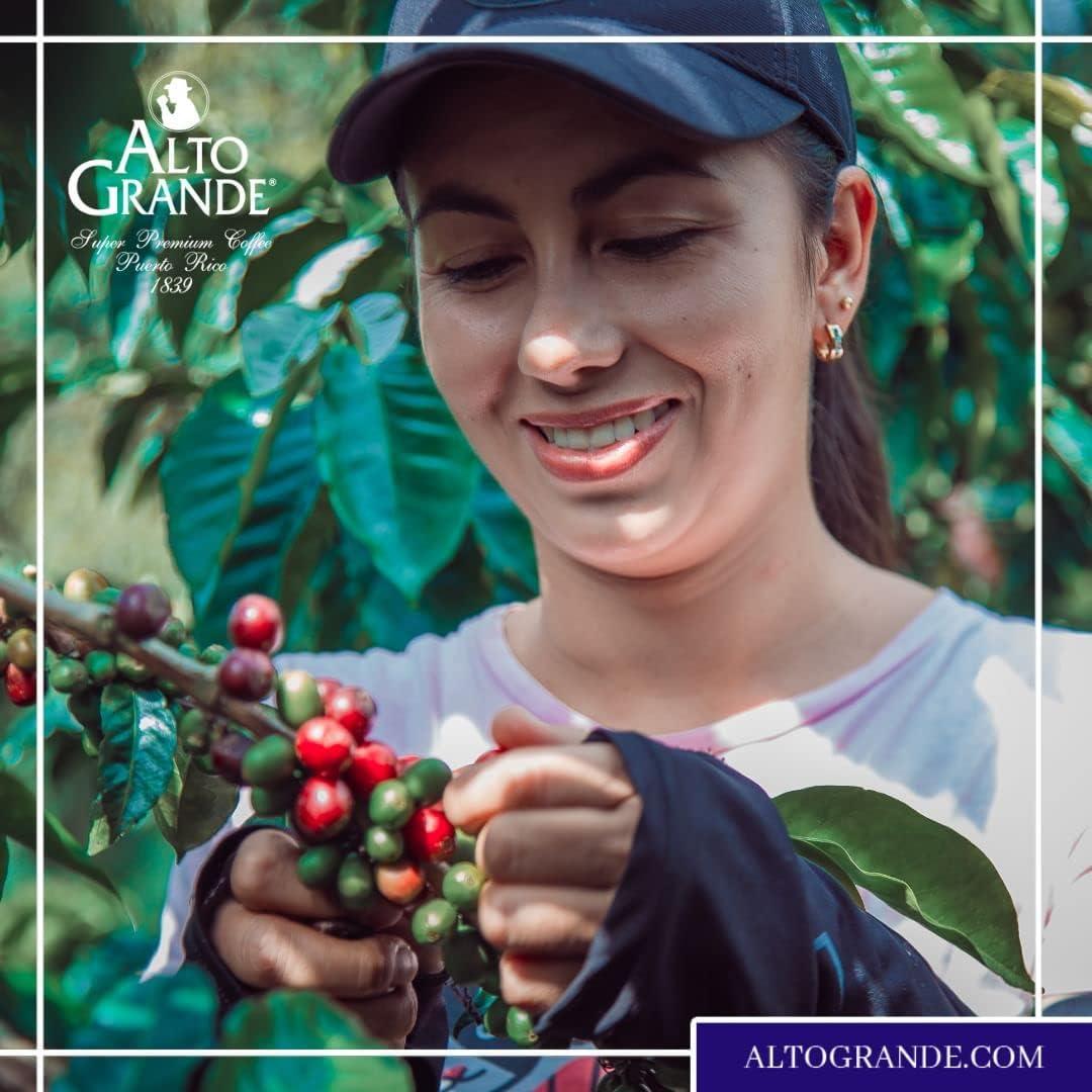 Alto Grande Alto Grande Super Premium Coffee Single Serve Capsules for Nespresso Machines, 100 Percent Arabica Coffee From Puerto Rico (Caracolillo, 18 Count)