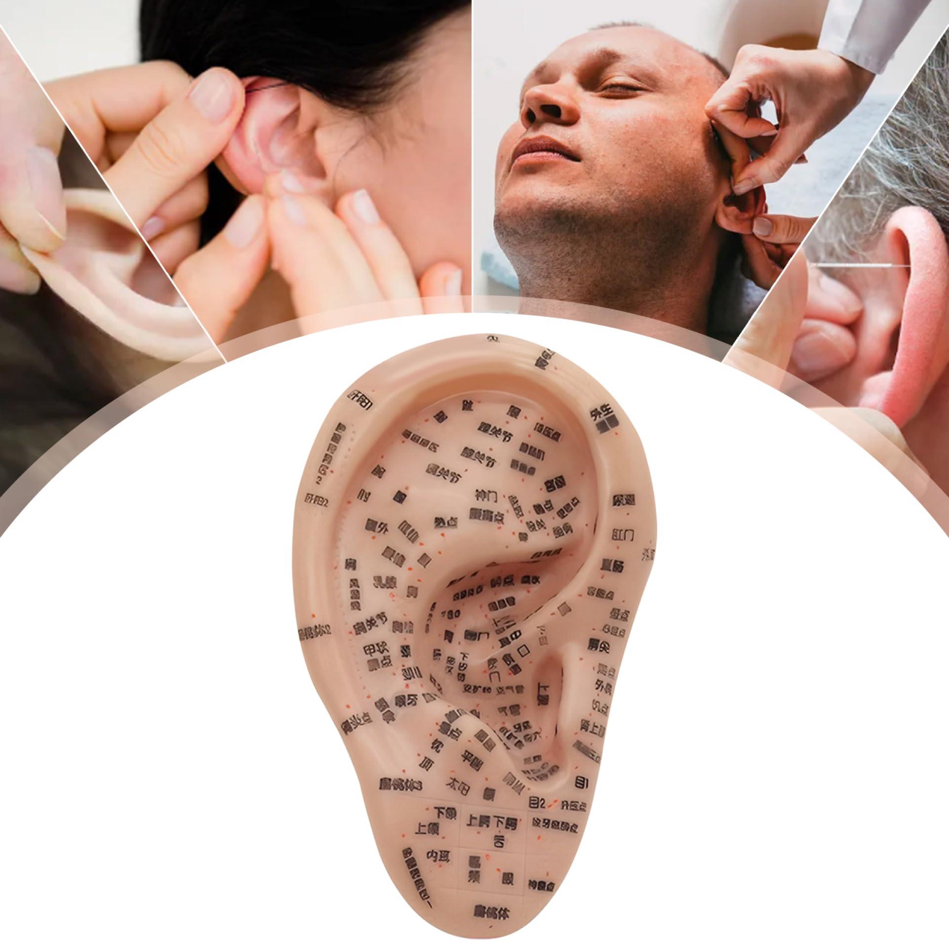 Peosaard Ear Seeds Acupuncture Kit, Soft Ear Seeding Kit Including 7.5 inch. Ear Model, Ear Patch, Tweezer, Probe Pen, Ear Book, Picture, Acupuncture Ear Seeds, Acupuncture Doll