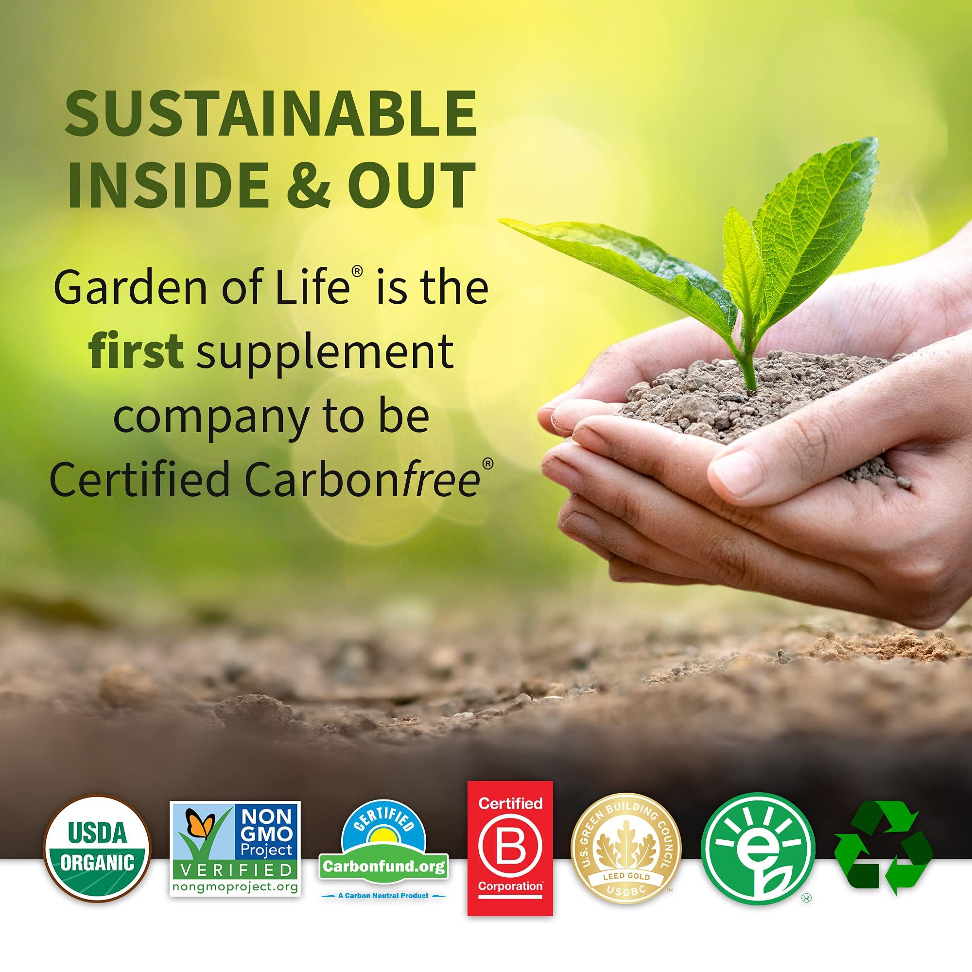 Garden of Life Garden of Life Whole Food Magnesium Powder, Raspberry Lemon - Vegan, Gluten & Sugar Free Supplement with Probiotics for Calm & Regularity