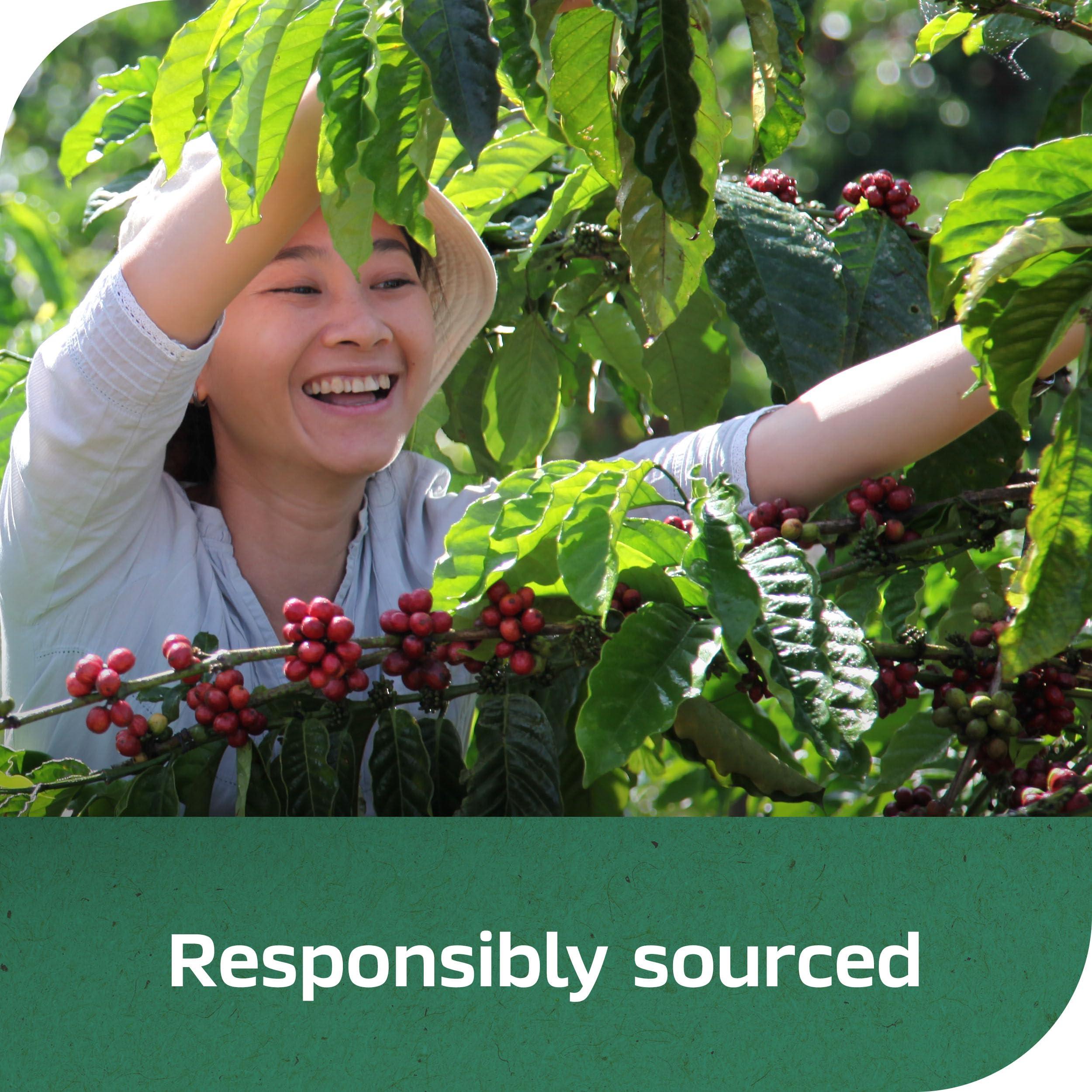 Taster\'s Choice NESCAF Taster\'s Choice Instant Coffee, Light Medium Roast, Decaf House Blend, 2 Jars (7 Oz Each)