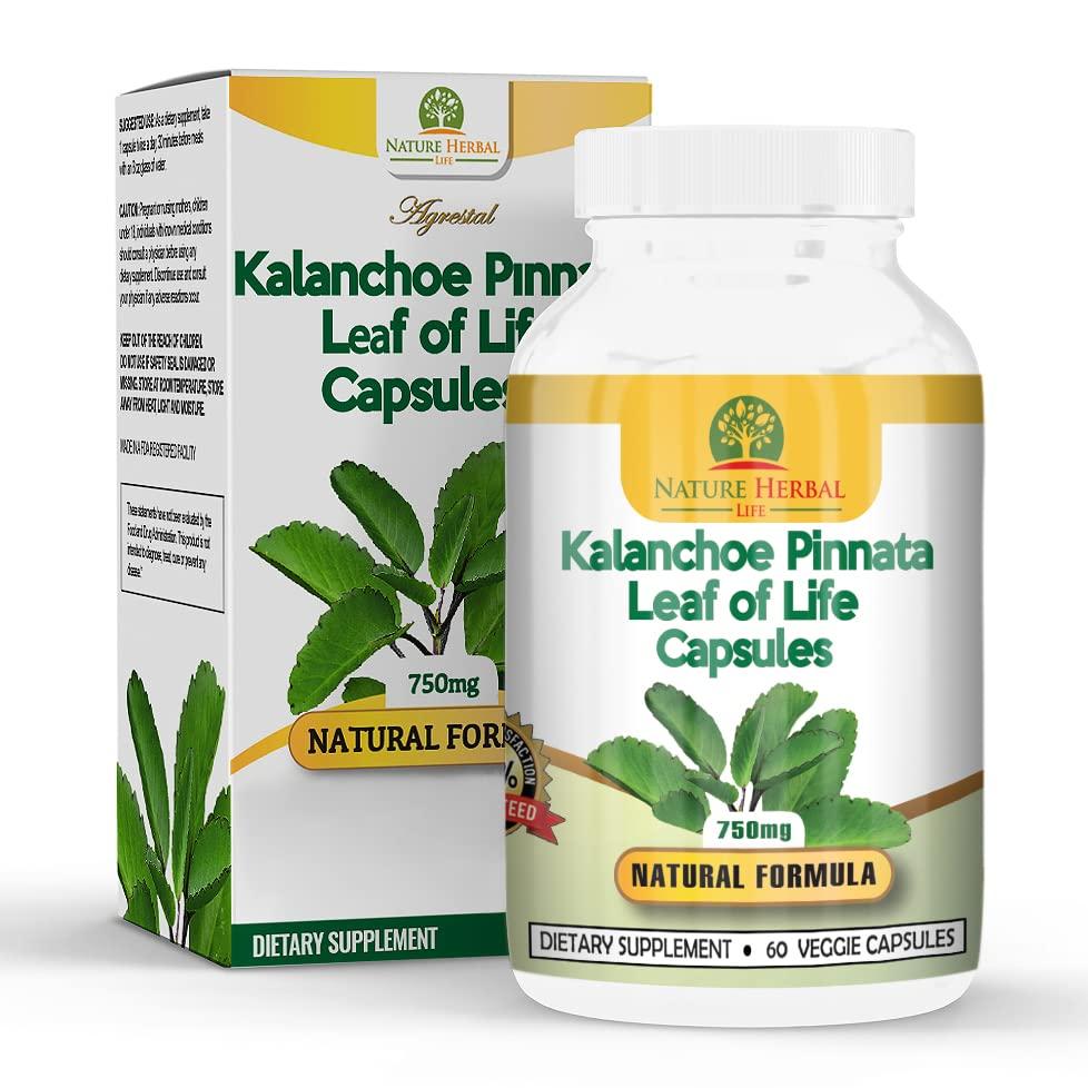 Nature Herbal Life Nature Herbal Life Kalanchoe Pinnata-Leaf of Life (Bryophyllum Pinnatum)Lao Di Sheng Gen, Capsules. 1 Bottle-750mg, 60 Count (Pack of 1)