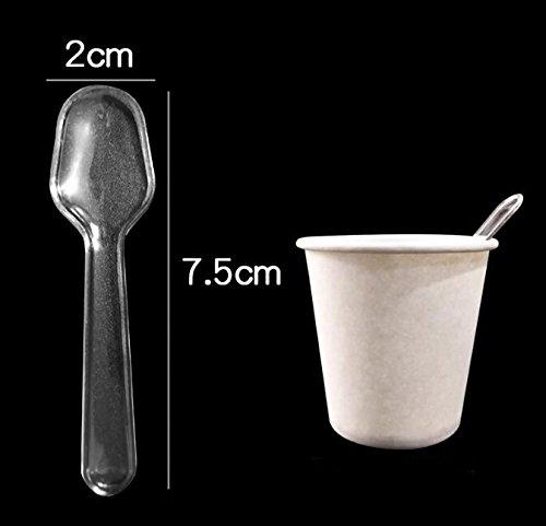 erioctry 500PCS Clear Plastic Mini Plastic Spoon Small Spoon Great Dessert Spoon or Ice Cream Spoon Disposable Plastic Spoon Mini Tasting Spoons Or Tasting Dessert Spoons (Clear)