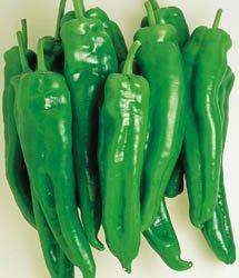 Hazzard\'s Pepper Spanish Spice 250 Seeds